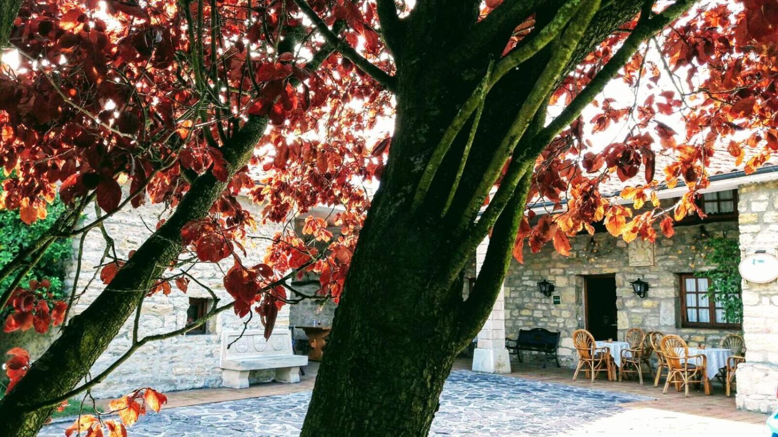 Posada Paz Hinojedo Екстер'єр фото